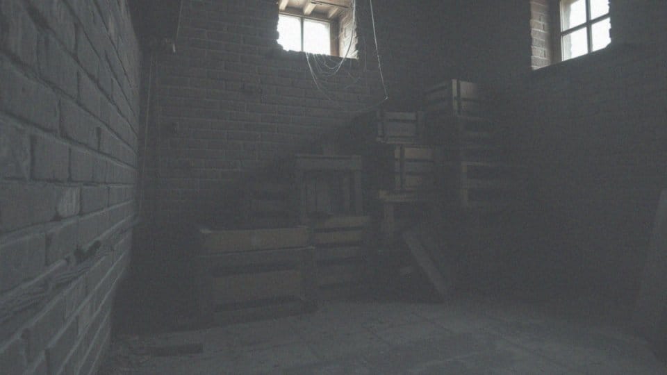 Gdzie najczęściej spotykają się pająki w domach?