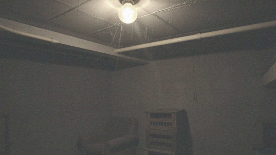 Jakie miejsca w domu wymagają oprysków na pająki?