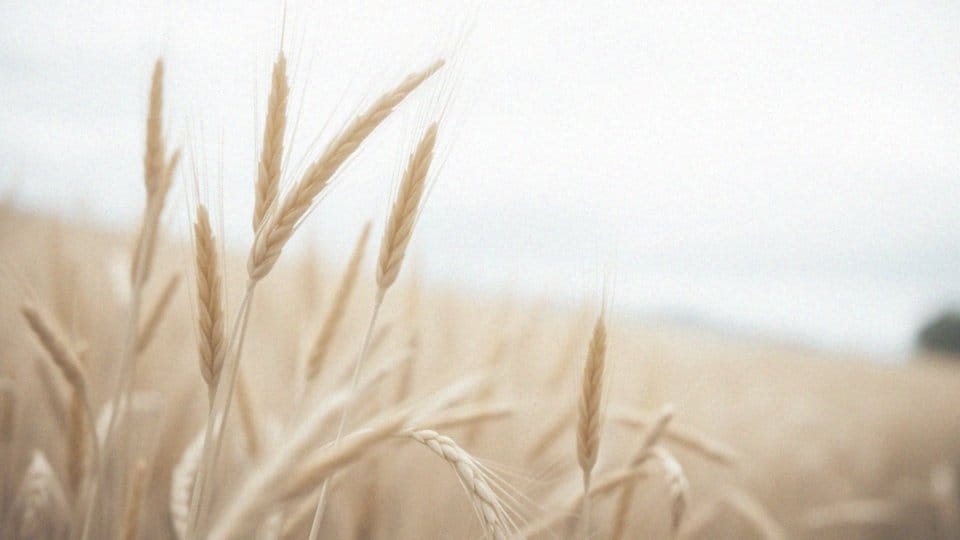 Jak wyglądają zrosty po cesarskim cięciu? Diagnoza i leczenie