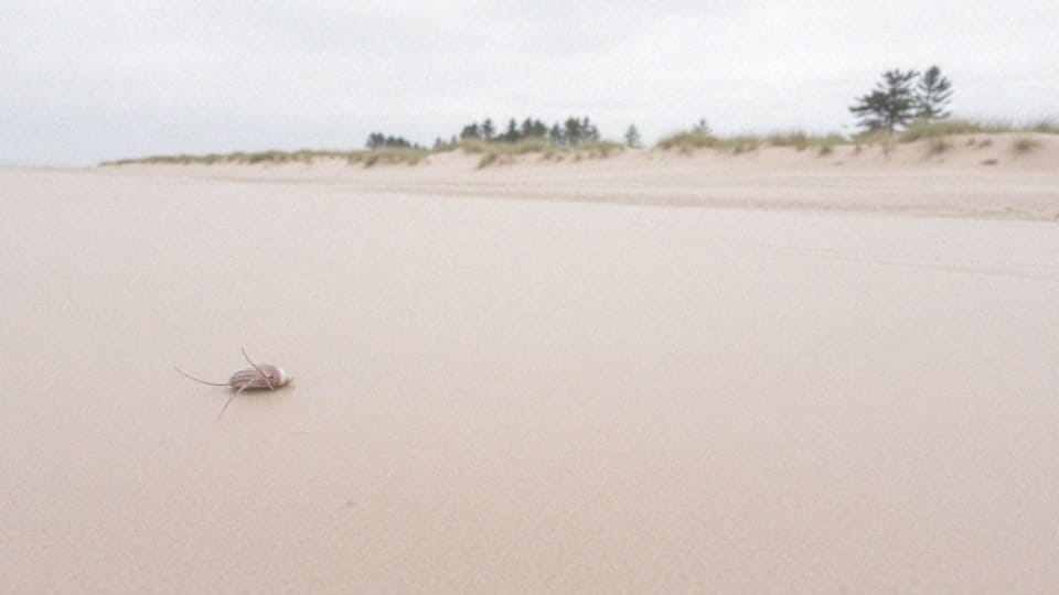 Mapa atrakcji nad morzem – odkryj 770 miejsc nad Bałtykiem!